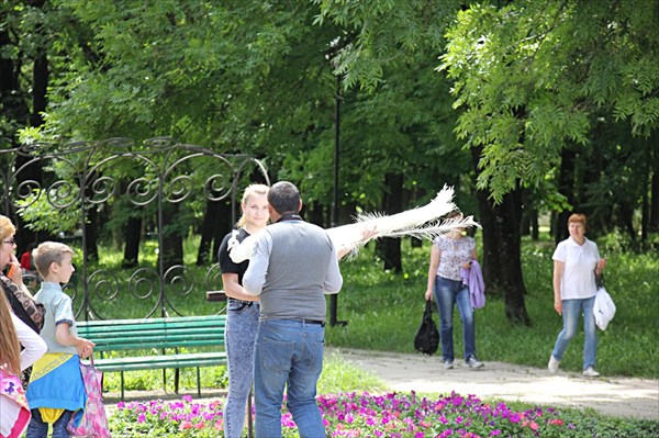 135-Лечебныи парк